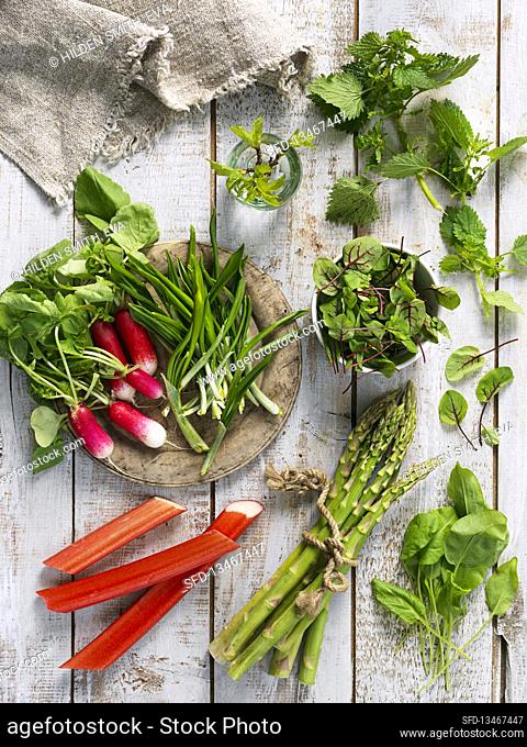Greens and herbs: rhubarb, asparagus, spinach, nettles, radish, ramson