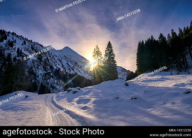 Winter landscape at Buchrainer Alpe in Rappenalp Valley, Oberstdorf, Swabia, Allgäu, Bavaria, Germany, Europe