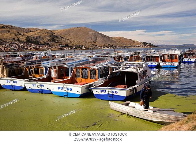 Colorful cruise boats at the harbour, Puno Region, Lake Titicaca, Peru, South America