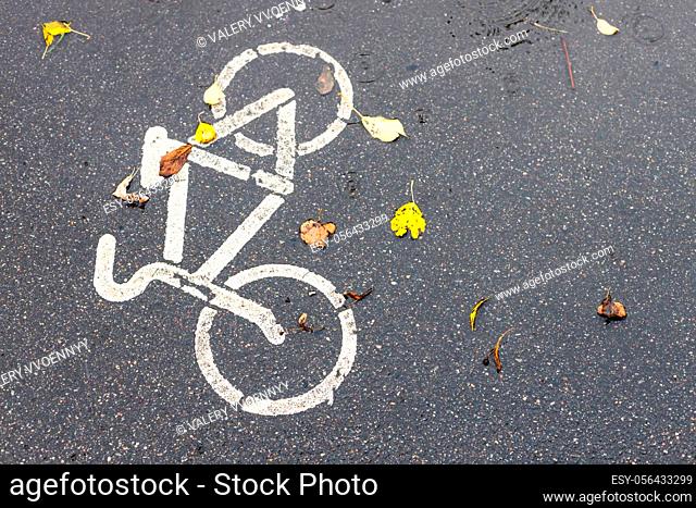 wet surface of bicycle lane in city in autumn rain