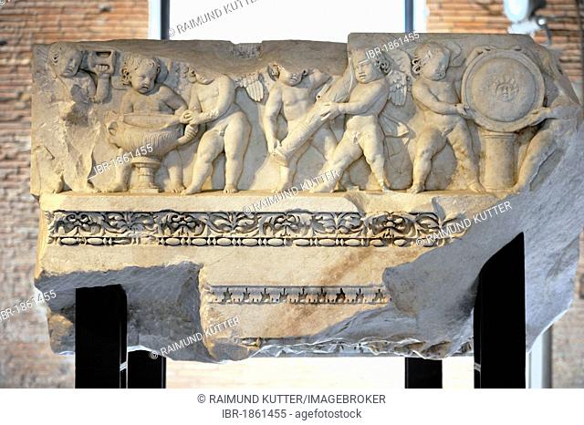 Relief frieze of cupids on the architrave of the Temple of Venus Genetrix, Museum of the Imperial Forum, Museo dei Fori Imperiali, Trajan's Market, Rome, Lazio