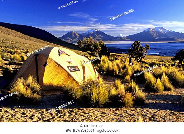 camp at Cerro Rojo, Salar de Surire, Reserva Nacional de las Vicunas, Chile, Lauca National Park