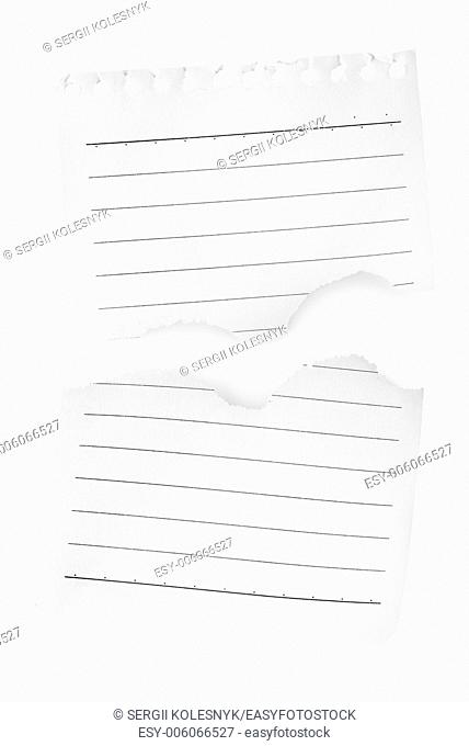 Sheet of lined paper isolated on white background