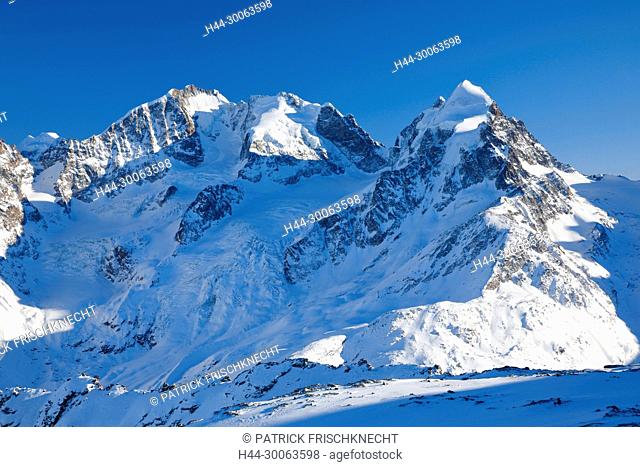 Biancograt miit Piz Bernina-4049 m, Piz Scerscen - 3971 m, Piz Roseg-3937 m, Graubünden, Schweiz