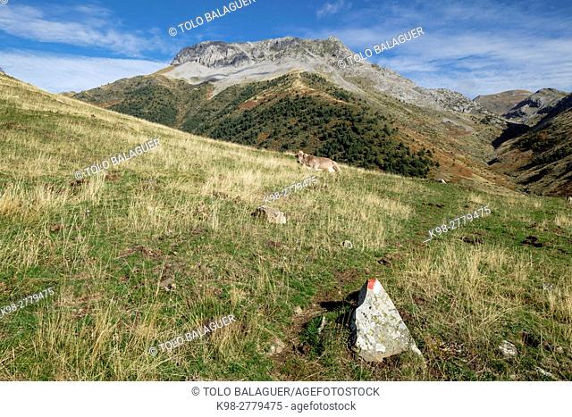 GR11 trail, Valley of Hecho, western valleys, Pyrenean mountain range, province of Huesca, Aragon, Spain