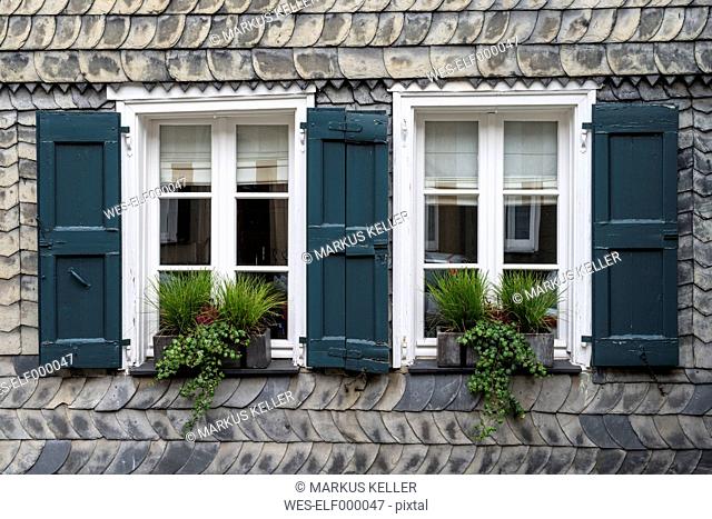 Germany, North Rhine Westphalia, Essen Kettwig, Potted plant on window sill