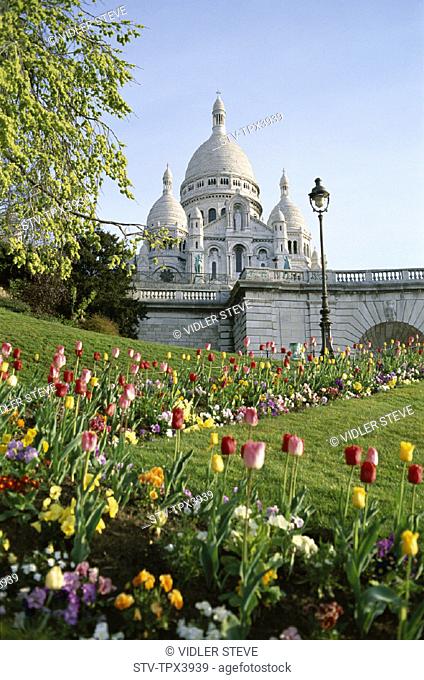 Basilique du sacre coeur, Coeur, Flowers, France, Europe, Holiday, Landmark, Paris, Sacre, Tourism, Travel, Tulips, Vacation