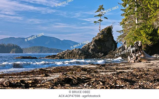 Brady's Beach on the southwest coast of Vancouver Island, British Columbia, Canada