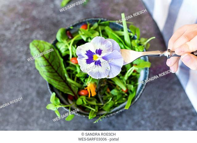 Girl's hand holding fork with pansy in front of bowl with wild-herb salad