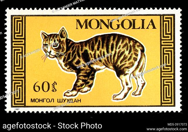 Mongolia - CIRCA 1987: Mongolian postage stamp dedicated to thoroughbred cat. Feline. Pet imaged on postal stamp