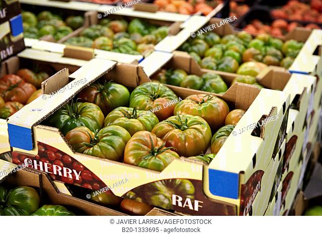 Tomatoes, Mercabilbao fruits and vegetables wholesale market, Basauri, Bilbao, Bizkaia, Euskadi, Spain