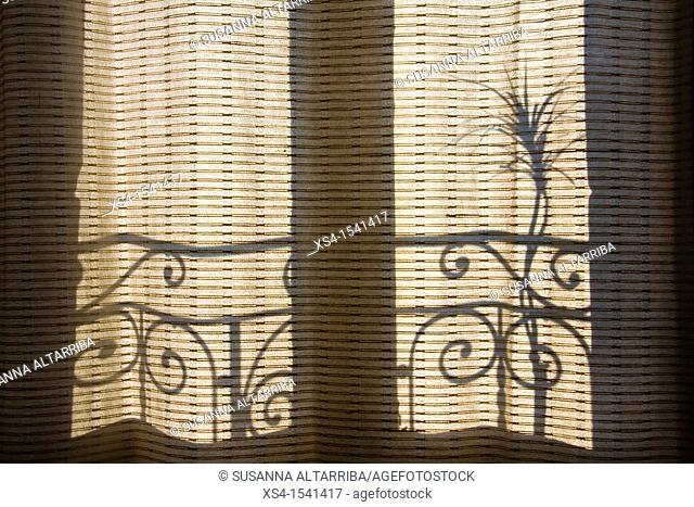 shadows on the curtains