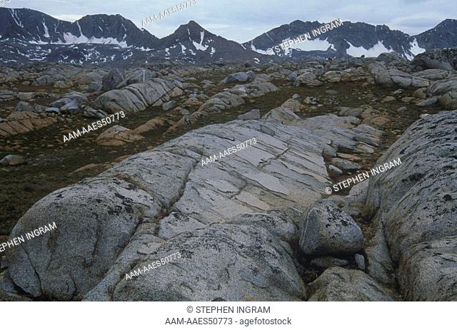 Glacially polished Rocks & Glacier Divide, John Muir WA, Sierra Nevada, CA