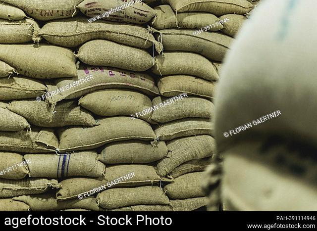 Coffee beans in sacks, photographed at a coffee roastery in Addis Ababa, January 13, 2023. - Addis Ababa/