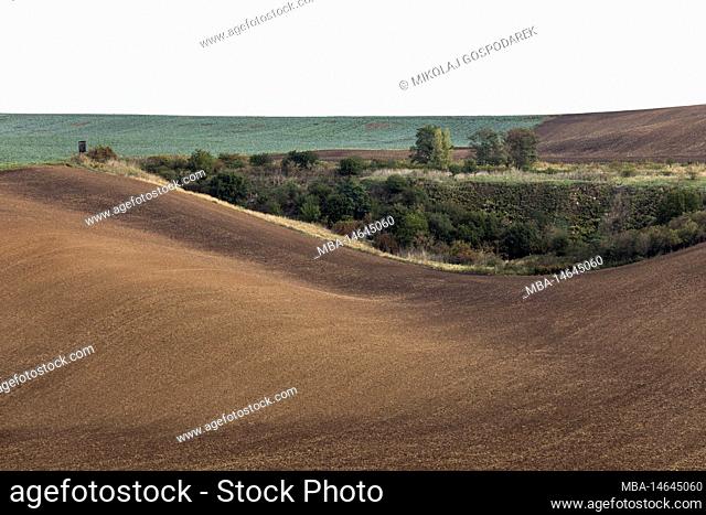 Europe, Czech, South Moravian Region, Hodonin District, Scenic view of rolling fields near Kyjov