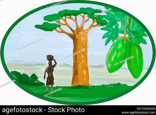 Watercolor style illustration of the Baobab tree and fruit that grows in low-lying areas in Africa and Australia and woman with basket on head set inside oval