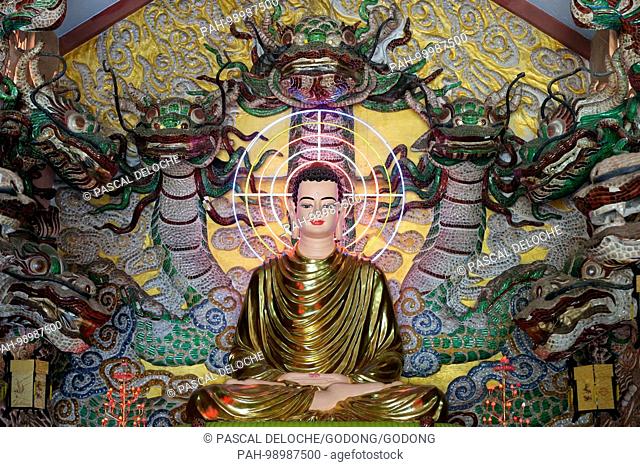 Van Hanh zen buddhist monastery. Main alatar. Shakyamuni Buddha statue. The Lotus position. Dalat. Vietnam. | usage worldwide