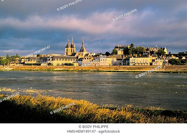 France, Loir et Cher, Loire Valley listed as World Heritage by UNESCO, Blois, quays and Saint Louis Cathedral in the background