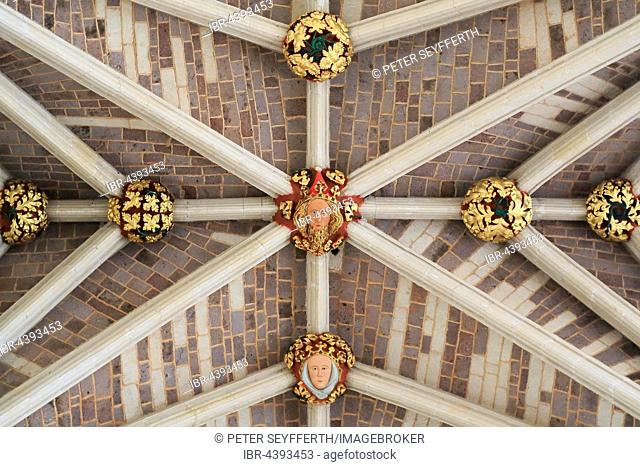 Decorated fan vaulting, nave, Saint-Pierre Cathedral, Detail, Exeter, Devon, England, United Kingdom