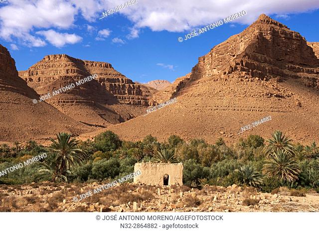 Gorges du Ziz, Ziz Valley, Ziz Gorges, Tafilalet region, Morocco, North Africa