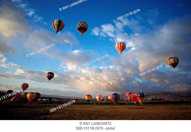 Hot air balloons being launched