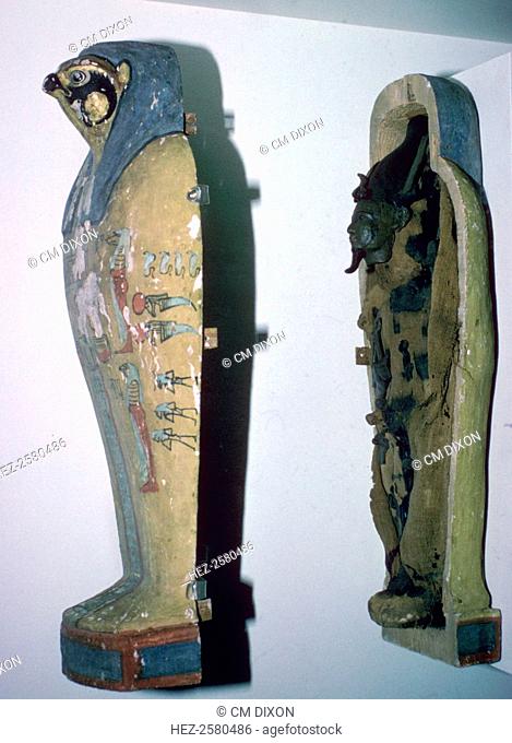 Small falcon-headed wooden coffin, which contained a model imitation mummy with the attributes of Osiris, made of corn grains wrapped in linen to commemorate...