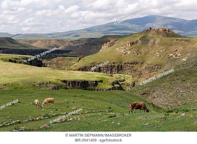 Valley of the Arpa River or Arpa Çayi, border river to Armenia, former Armenian capital Ani, Kars, Silk Route, Eastern Anatolia Region, Anatolia, Turkey