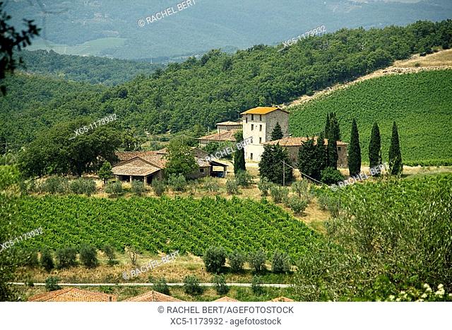 Brolio landscape, Chianti Valley, Siena, Tuscany, Italy