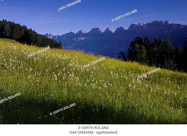 Switzerland, Europe, Melser Hinterberg, Mountain, Mountains, Alps, Alpine, Spring, canton St. Gallen, Churfirsten rang