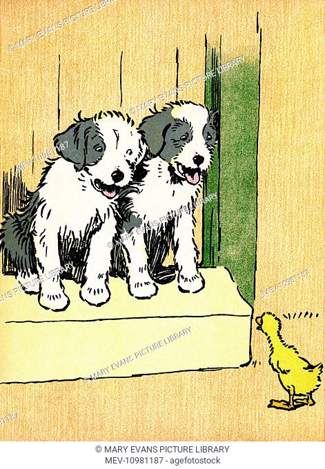 Illustration by Cecil Aldin, Farm Babies. Decimus Duckling meets two identical puppies who smile cheerfully at him