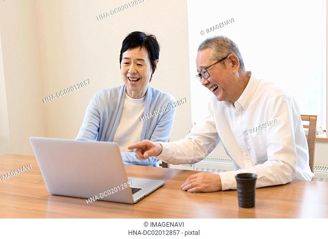 Senior couple using laptop together