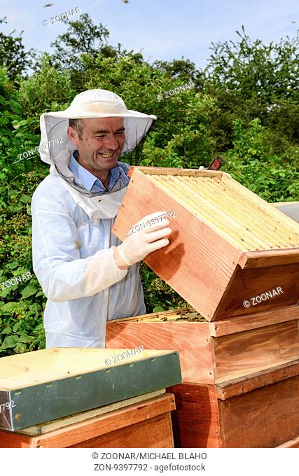 Imker bei der Arbeit an den Bienenstöcken