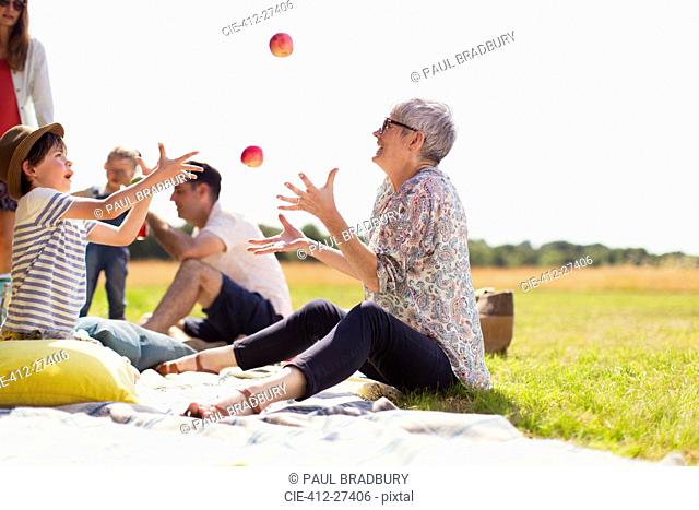 Grandmother and grandson juggling apples on picnic blanket in sunny field