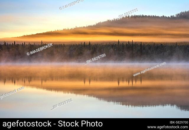 Autumnal fog atmosphere on the lake shore in the evening light, Jokkmokk, Norrbottens län, Sweden, Europe
