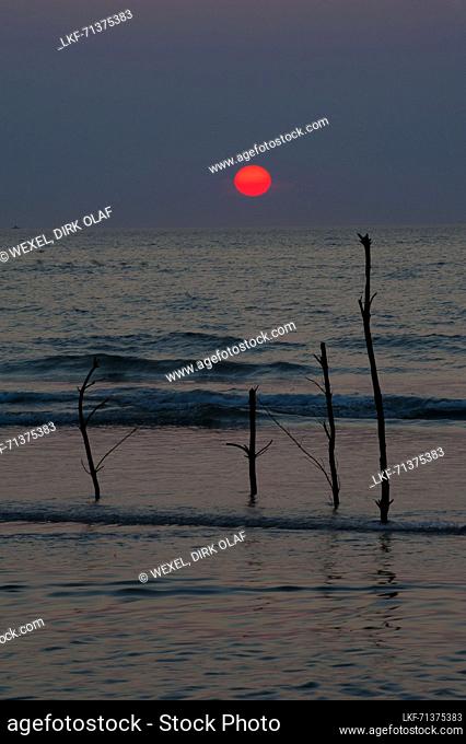 Sunset with sticks