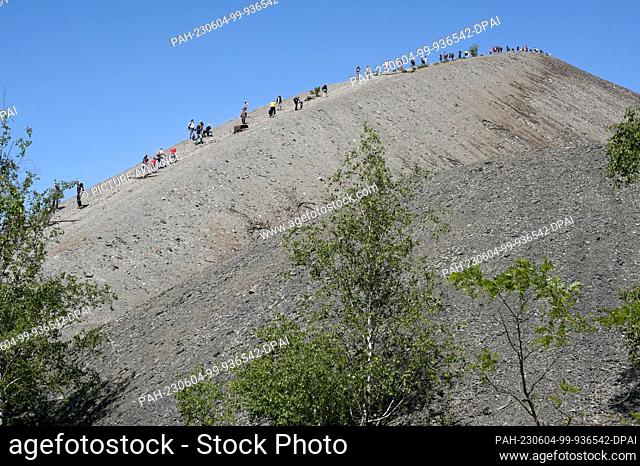 04 June 2023, Saxony-Anhalt, Volkstedt: Visitors climb the tailings pile in Mansfelder Land. The dump is part of the former ""Fortschritt"" copper mining shaft...