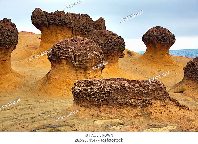 Rock formations at the Yehliu GeoPark, part of the Daliao Miaocene Formation in Wanli in Taiwan