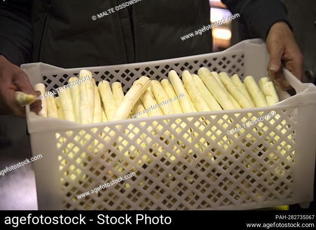Asparagus in a transport box, Prime Minister Henrik WUEST visits the potato and asparagus farm Meyer in Willich, April 11th, 2022