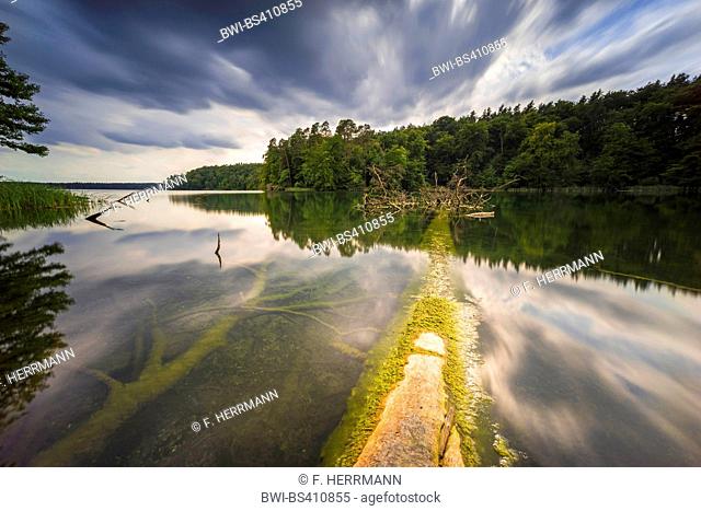 lake in thunderstorm mood, Germany, Brandenburg, Stechlin, Neuglobsow