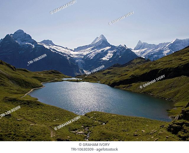 The Bachsee above Grindlewald with the Wetterhorn and Schreckhorn alps, Bernese Oberland, Switzerland