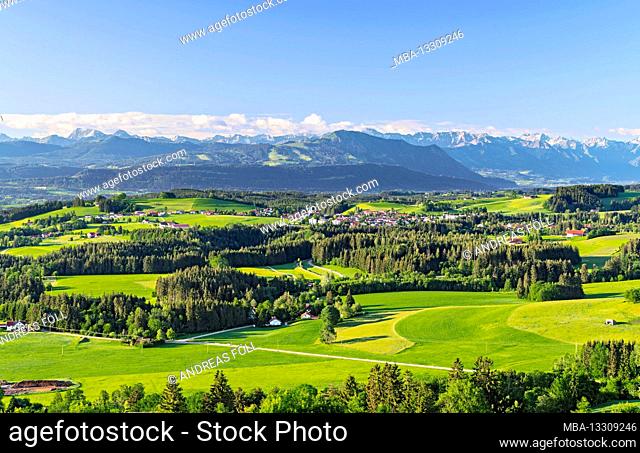 Idyllic morning mood in the Allgäu with meadows and forests. In the background the Allgäu Alps. Bayern Germany