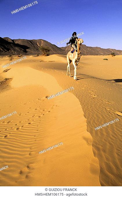 Niger, Sahara, Tenere desert, Tuareg camel rider in Arakao sand dunes (Crab Claw)