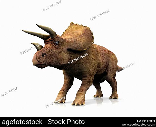 Triceratops on a white background