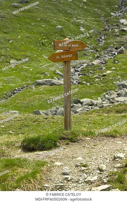 Signposts in wood in the natural regional park of Queyras to go to the mountain path of la Noire or path of Blanchet