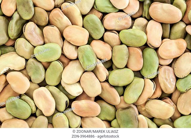 background and texture of dried fava broad bean