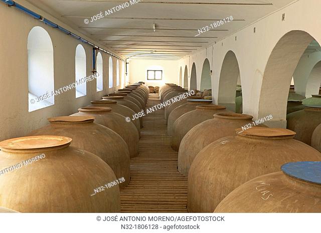 Montilla, Navarro Wine Cellar, jars, Montilla-Moriles Wine Route, Cordoba, Andalusia, Spain