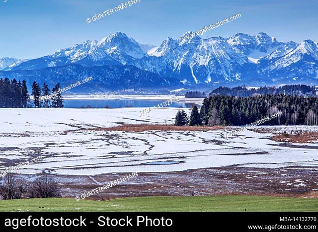winter landscape with side arm from forggensee towards tannheimer berge, hallech, romantische strasse, ostallgäu, allgäu, bavaria, germany