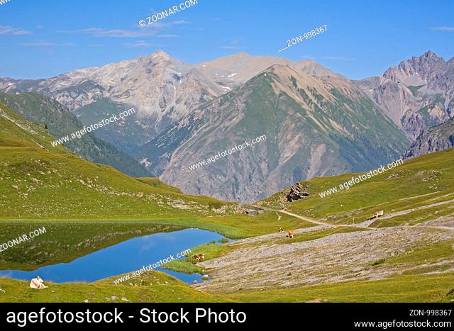 Kleiner See auf dem Passo Alpisella