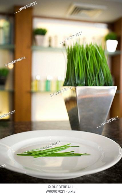 Close-up of a plate and a vase of herbs at the bar counter