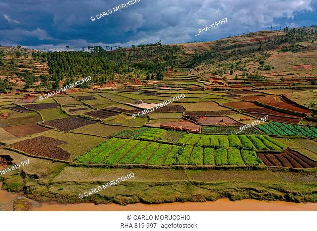 Vegetable cultivation and brick making on the rice fields, National Route RN7 between Antsirabe and Antananarivo, Madagascar, Africa